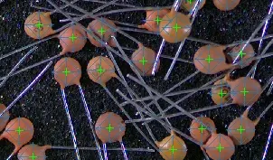 EasyLocate SampleDataset