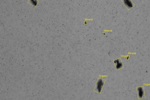 EasySpotDetector surfacewithclassifiedpollutionpng